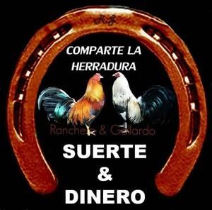 Meet your Posher, Rosendo